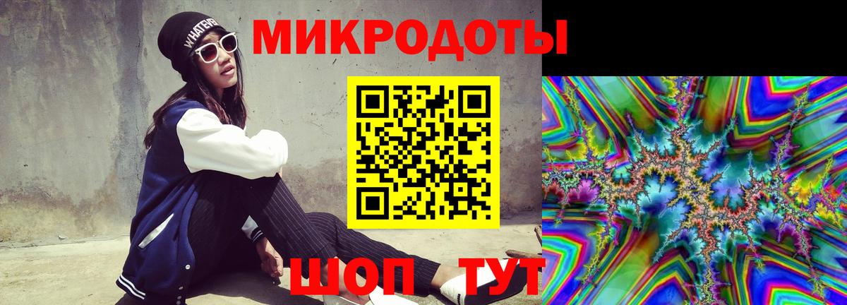 Псилоцибиновые грибы Psilocybine cubensis Братск