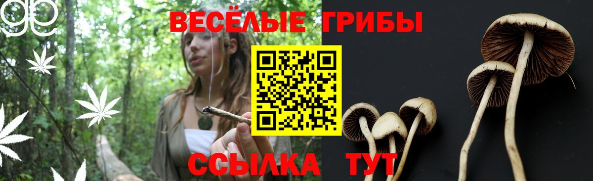 Псилоцибиновые грибы ЛСД  Псилоцибиновые грибы мухоморы  Вход с VPN  купить наркотики цена  Братск 